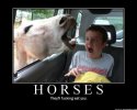 horses eat you.jpg
