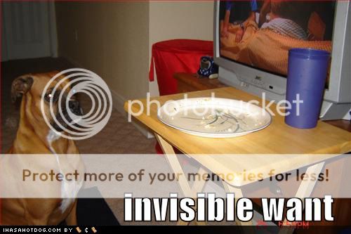 funny-dog-pictures-tv-dinner-tray-i.jpg
