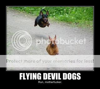 flying-devil-dogs-run-motherfucker.jpg