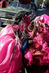 sparkys_canopy.webp