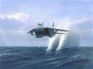 Tomcat.JPG