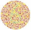 Color6.jpg