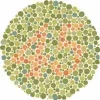 Color45.webp