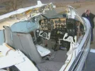 Goose Mid-Air 1.webp
