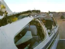 Goose Mid-Air 2.webp