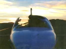 Goose Mid-Air 3.webp