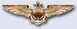 pilot_new.webp