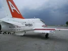 Tiger Bird on CCX.webp