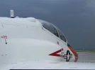 Tiger Bird on CCX 2.webp
