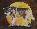 lone wolf.webp