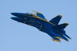 Blues 4 8x12 10-8-11.jpg Blues 4 8x12 10-8-11.jpg