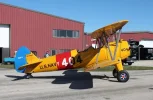 404 yellow.webp