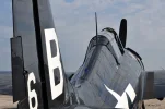 KYIP_Wildcat.webp