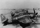bearcat_flightline.webp