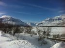 photo (1).JPG