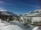 photo (1).webp