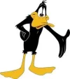 Daffy 3.webp