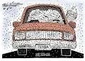 Love Bugs FL.webp