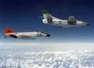 Whale Feeding F-4B.webp