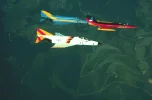 f-4colorful.webp