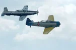 T-6 Texan II & T-6 Texan.webp