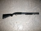 590 small.jpg