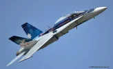 KBKL_CAN_HORNET.webp