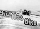 P47_of_the_406th_FG_Big_Ass_Bird_II_flown_by_Howard_Park_-_1.webp