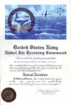 MG Naval Aviator.webp