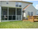 house back.webp