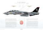 F-14-007-A2.jpg