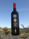Fighter Red.webp