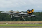 'Fist' CAG bird.webp