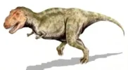 Dino.webp