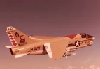 shrike1.webp shrike1.webp