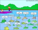 CHUM2.webp
