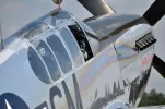 P-51.webp
