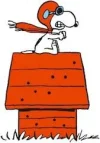 Snoopy.webp