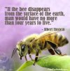 Save The Bee.jpg
