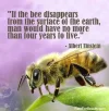 Save The Bee.webp