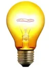 Bulb.webp