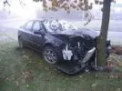 tree hit.webp tree hit.webp