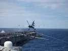 A104 Cat Shot.webp