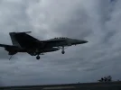 A110 recovery.webp