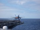 F18 Cat Shot2.JPG