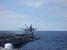 F18 Cat Shot2.webp