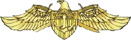 United_States_Navy_Strategic_Sealift_Officer_Warfare_Pin.webp