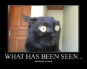 what-has-been-seen.webp