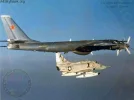 A4 Bear Intercept VA-45.webp