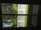 Backyard.webp Backyard.webp